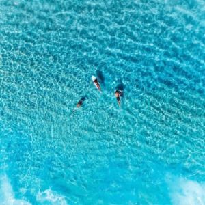 Meet your Posher, Tyler